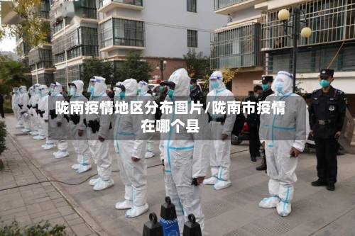 陇南疫情地区分布图片/陇南市疫情在哪个县