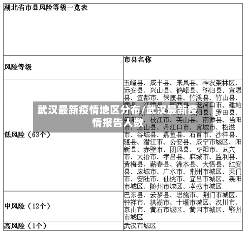 武汉最新疫情地区分布/武汉最新疫情报告人数