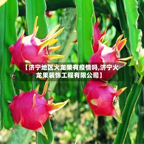 【济宁地区火龙果有疫情吗,济宁火龙果装饰工程有限公司】-第2张图片