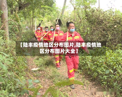 【陆丰疫情地区分布图片,陆丰疫情地区分布图片大全】