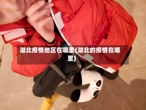 湖北疫情地区在哪里(湖北的疫情在哪里)