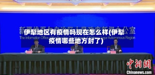 伊犁地区有疫情吗现在怎么样(伊犁疫情哪些地方封了)-第2张图片