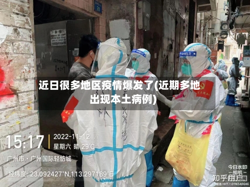 近日很多地区疫情爆发了(近期多地出现本土病例)