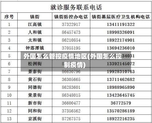 外国怎么管控疫情地区(外国怎么控制疫情)-第2张图片