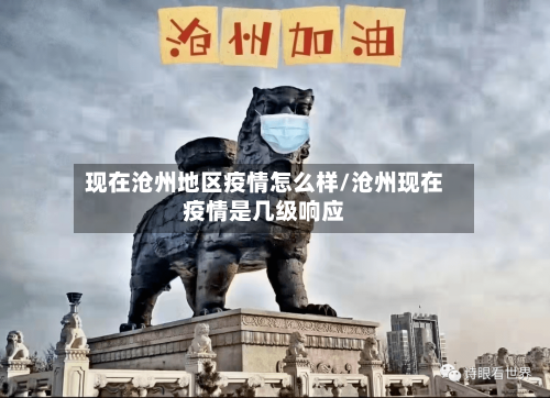 现在沧州地区疫情怎么样/沧州现在疫情是几级响应-第2张图片
