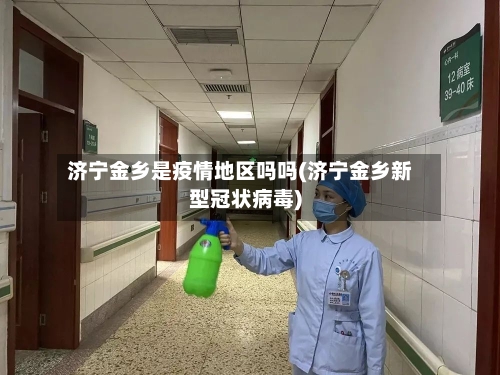 济宁金乡是疫情地区吗吗(济宁金乡新型冠状病毒)-第2张图片