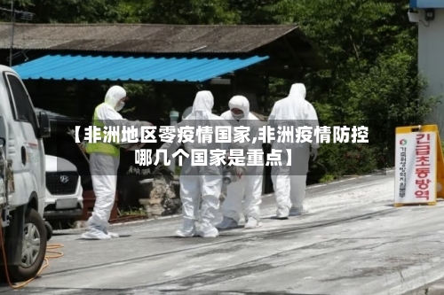 【非洲地区零疫情国家,非洲疫情防控哪几个国家是重点】