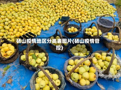 砀山疫情地区分类表图片(砀山疫情管控)