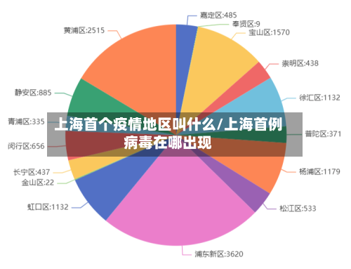 上海首个疫情地区叫什么/上海首例病毒在哪出现-第2张图片