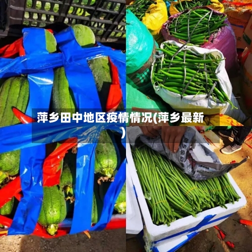 萍乡田中地区疫情情况(萍乡最新)