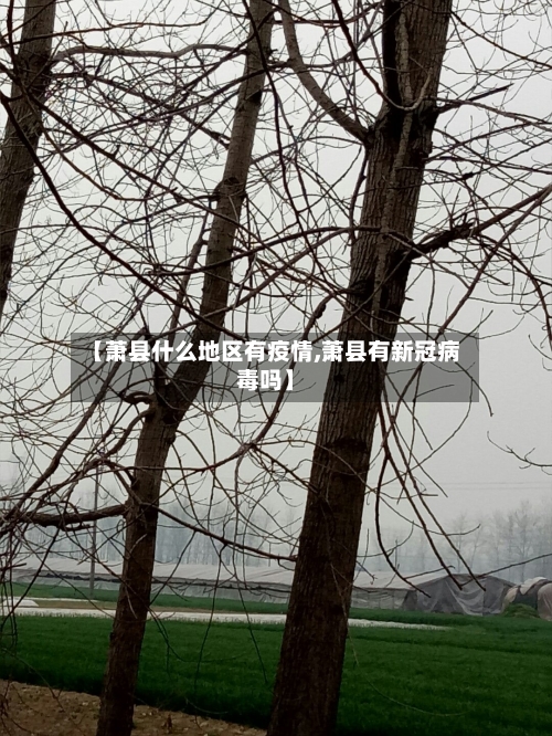 【萧县什么地区有疫情,萧县有新冠病毒吗】-第2张图片