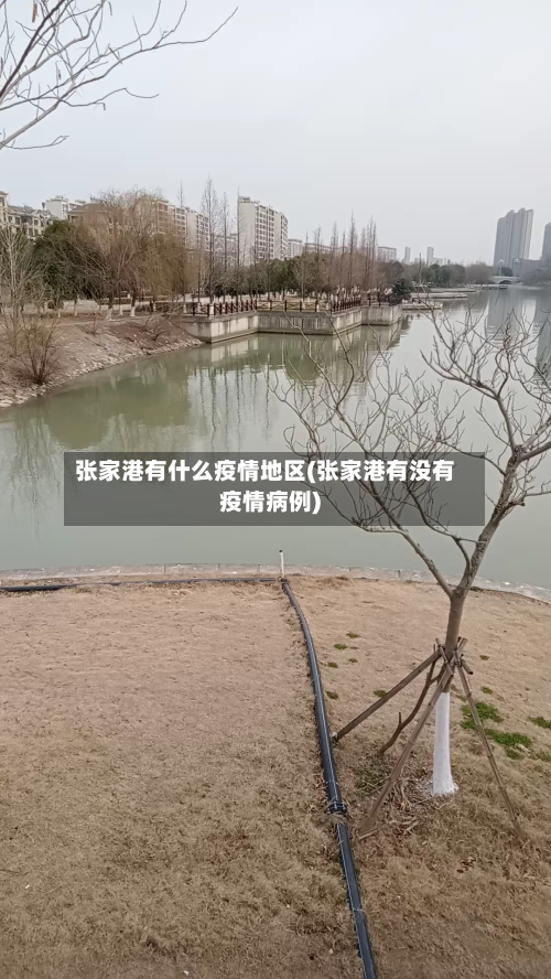 张家港有什么疫情地区(张家港有没有疫情病例)-第2张图片