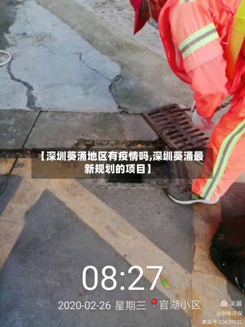 【深圳葵涌地区有疫情吗,深圳葵涌最新规划的项目】