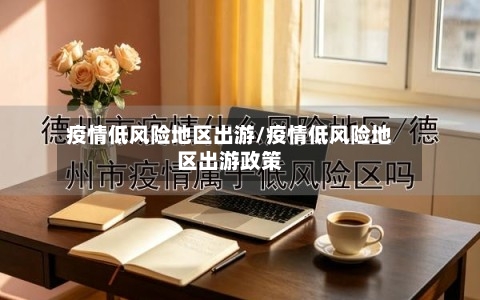 疫情低风险地区出游/疫情低风险地区出游政策