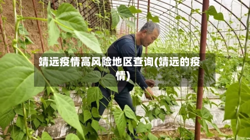 靖远疫情高风险地区查询(靖远的疫情)-第2张图片