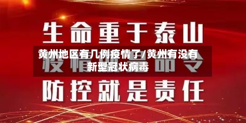 黄州地区有几例疫情了/黄州有没有新型冠状病毒-第2张图片