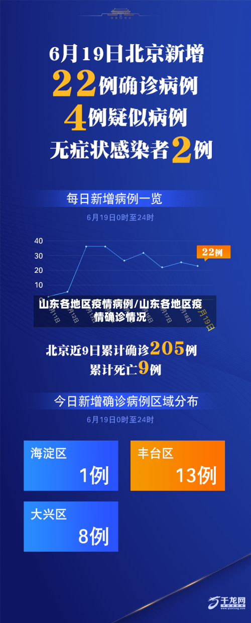 山东各地区疫情病例/山东各地区疫情确诊情况