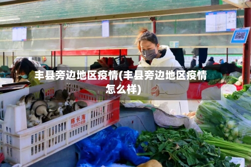 丰县旁边地区疫情(丰县旁边地区疫情怎么样)-第2张图片